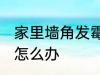 家里墙角发霉潮湿 家里墙角发霉潮湿怎么办
