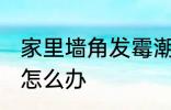 家里墙角发霉潮湿 家里墙角发霉潮湿怎么办