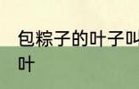 包粽子的叶子叫什么叶 粽子叶是什么叶