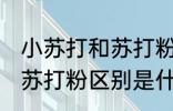 小苏打和苏打粉有什么区别 小苏打和苏打粉区别是什么