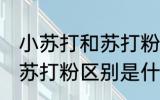 小苏打和苏打粉有什么区别 小苏打和苏打粉区别是什么