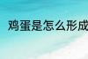 鸡蛋是怎么形成的 鸡蛋形成的方法