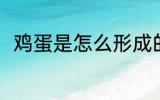 鸡蛋是怎么形成的 鸡蛋形成的方法
