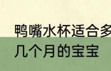 鸭嘴水杯适合多大宝宝 鸭嘴水杯适合几个月的宝宝