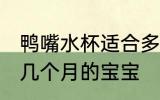 鸭嘴水杯适合多大宝宝 鸭嘴水杯适合几个月的宝宝