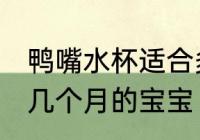 鸭嘴水杯适合多大宝宝 鸭嘴水杯适合几个月的宝宝