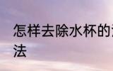 怎样去除水杯的污垢 水杯污垢去除方法