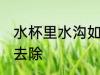 水杯里水沟如何去除 水杯里水狗怎么去除