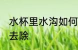 水杯里水沟如何去除 水杯里水狗怎么去除
