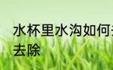 水杯里水沟如何去除 水杯里水狗怎么去除
