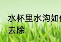 水杯里水沟如何去除 水杯里水狗怎么去除