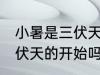小暑是三伏天的开始吗 小暑是不是三伏天的开始吗
