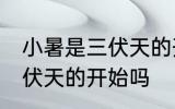 小暑是三伏天的开始吗 小暑是不是三伏天的开始吗