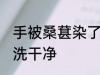 手被桑葚染了怎么清洗 桑葚染手怎么洗干净