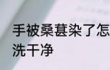 手被桑葚染了怎么清洗 桑葚染手怎么洗干净