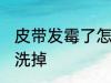 皮带发霉了怎么洗掉 皮带发霉了如何洗掉