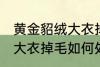 黄金貂绒大衣掉毛怎么处理 黄金貂绒大衣掉毛如何处理