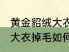 黄金貂绒大衣掉毛怎么处理 黄金貂绒大衣掉毛如何处理