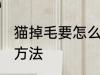 猫掉毛要怎么处理方法 猫掉毛的处理方法