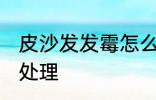 皮沙发发霉怎么处理 皮沙发发霉如何处理