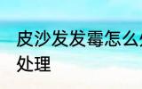 皮沙发发霉怎么处理 皮沙发发霉如何处理