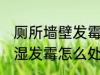 厕所墙壁发霉怎么处理 卫生间墙壁潮湿发霉怎么处理