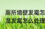 厕所墙壁发霉怎么处理 卫生间墙壁潮湿发霉怎么处理