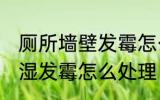 厕所墙壁发霉怎么处理 卫生间墙壁潮湿发霉怎么处理