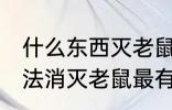 什么东西灭老鼠最有效的方法 什么方法消灭老鼠最有效