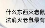 什么东西灭老鼠最有效的方法 什么方法消灭老鼠最有效