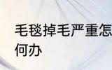 毛毯掉毛严重怎么办 毛毯掉毛严重如何办