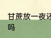 甘蔗放一夜还可以吃吗 甘蔗隔夜能吃吗