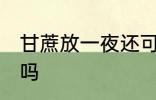 甘蔗放一夜还可以吃吗 甘蔗隔夜能吃吗