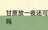 甘蔗放一夜还可以吃吗 甘蔗隔夜能吃吗