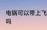 电锅可以带上飞机吗 电锅能带上飞机吗