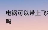 电锅可以带上飞机吗 电锅能带上飞机吗