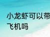 小龙虾可以带上飞机吗 小龙虾能带上飞机吗