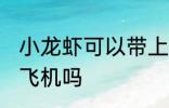 小龙虾可以带上飞机吗 小龙虾能带上飞机吗