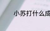 小苏打什么成分 小苏打学名