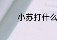 小苏打什么成分 小苏打学名