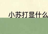 小苏打显什么性 小苏打是什么性