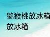 猕猴桃放冰箱的正确做法 猕猴桃怎么放冰箱