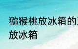 猕猴桃放冰箱的正确做法 猕猴桃怎么放冰箱