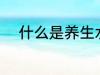 什么是养生水杯 养生水杯的介绍