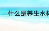 什么是养生水杯 养生水杯的介绍