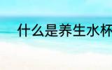 什么是养生水杯 养生水杯的介绍