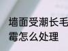 墙面受潮长毛怎么办 潮湿天气墙面发霉怎么处理