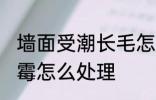 墙面受潮长毛怎么办 潮湿天气墙面发霉怎么处理