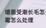 墙面受潮长毛怎么办 潮湿天气墙面发霉怎么处理