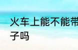 火车上能不能带勺子 火车上可以带勺子吗